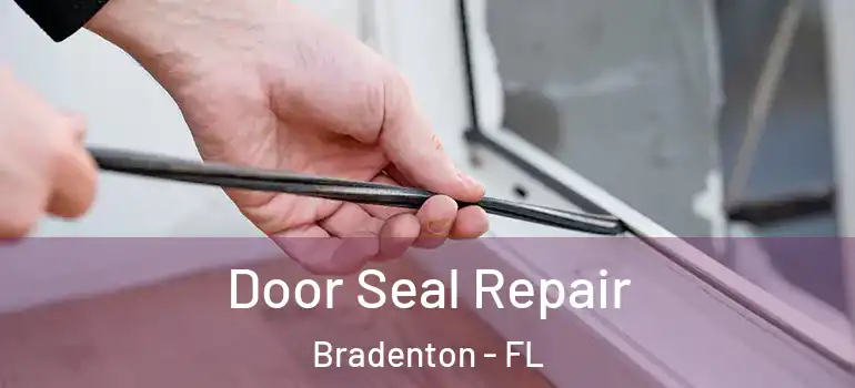 Door Seal Repair Bradenton - FL