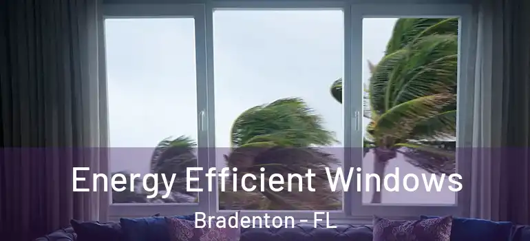 Energy Efficient Windows Bradenton - FL