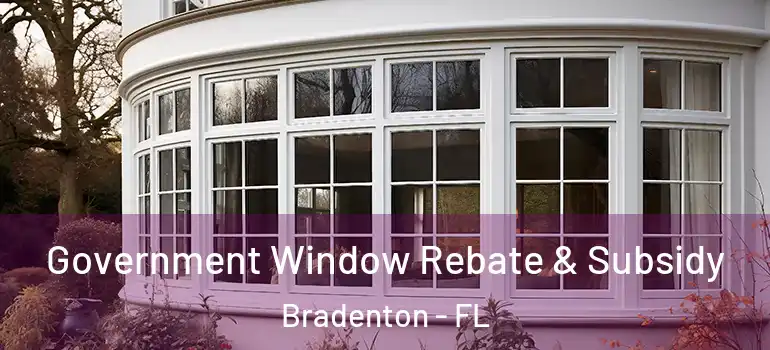 Government Window Rebate & Subsidy Bradenton - FL