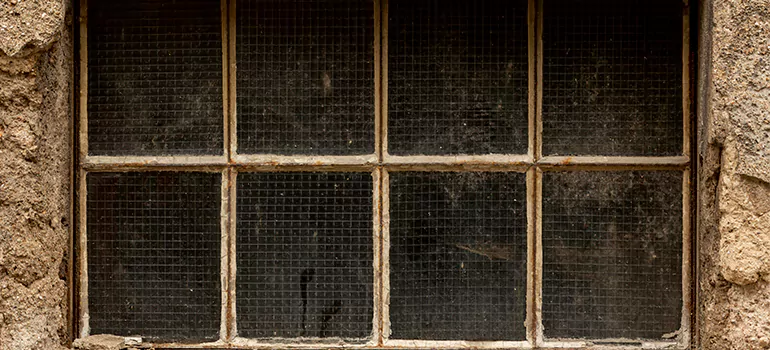 Traditional Double Front Doors in Bradenton, FL