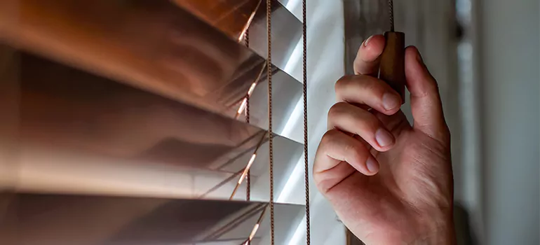 Double Roller Blinds in Bradenton, FL