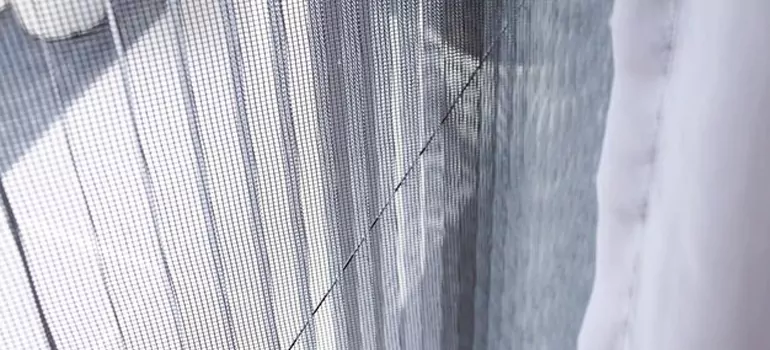 Fixing Screen Window Mesh in Bradenton, FL