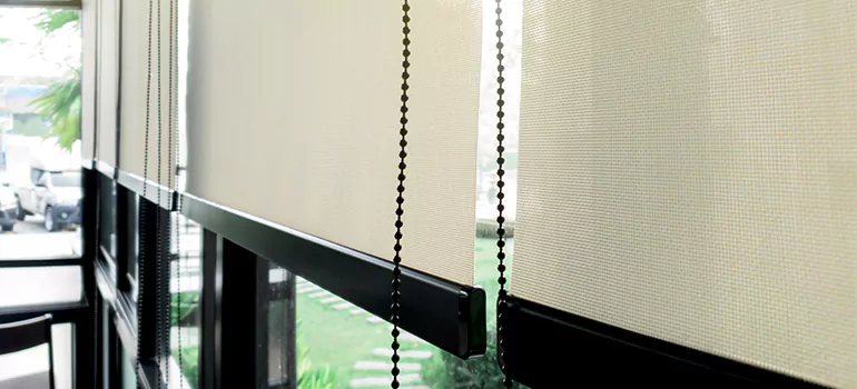 Blackout Window Shades in Bradenton, FL