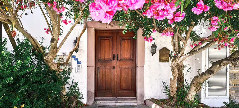 Traditional 4 Panel Internal Doors in Bradenton, FL