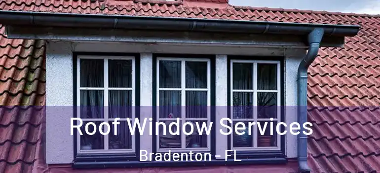 Roof Window Services Bradenton - FL