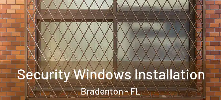 Security Windows Installation Bradenton - FL