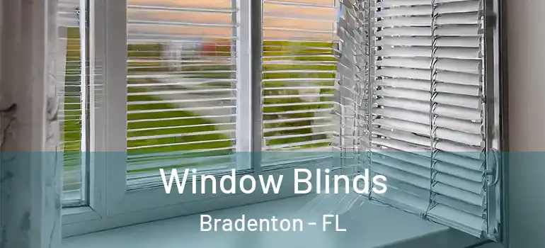 Window Blinds Bradenton - FL