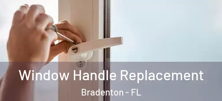 Window Handle Replacement Bradenton - FL