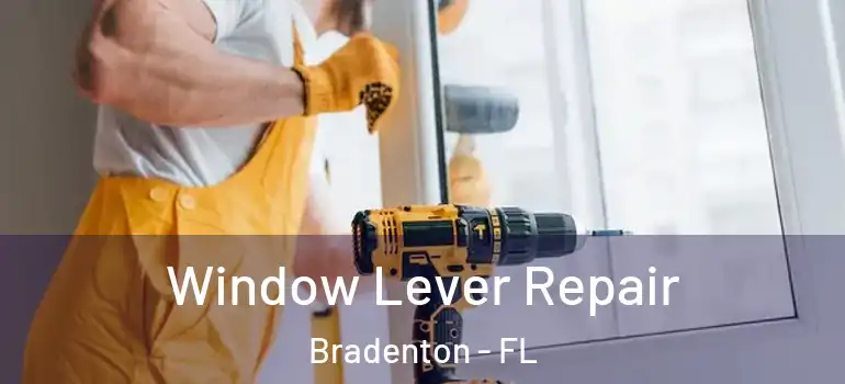 Window Lever Repair Bradenton - FL