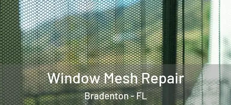 Window Mesh Repair Bradenton - FL