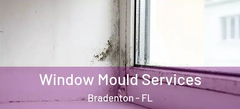 Window Mould Services Bradenton - FL
